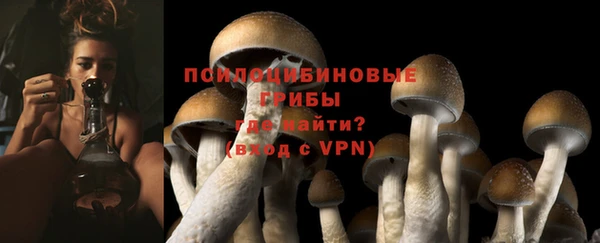 мяу мяу мука Белоозёрский
