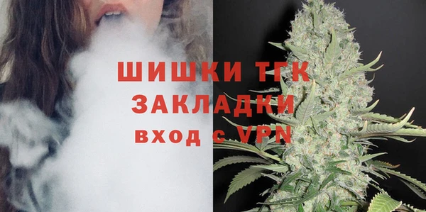гидра Балахна