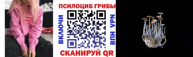 Галлюциногенные грибы GOLDEN TEACHER Полесск
